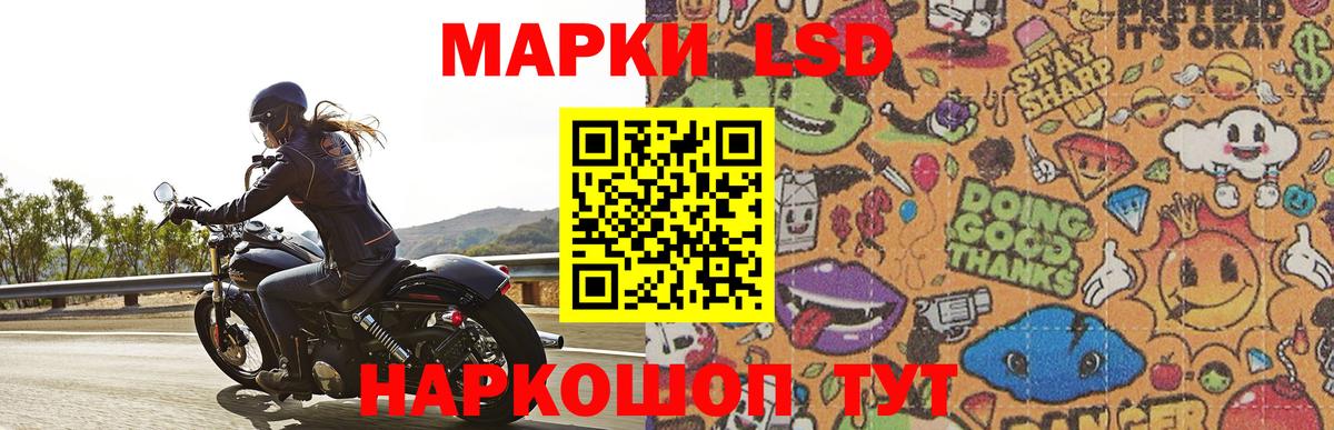 blacksprut как войти  Лсд 25 экстази ecstasy  Липецк  Лсд 25 экстази ecstasy 