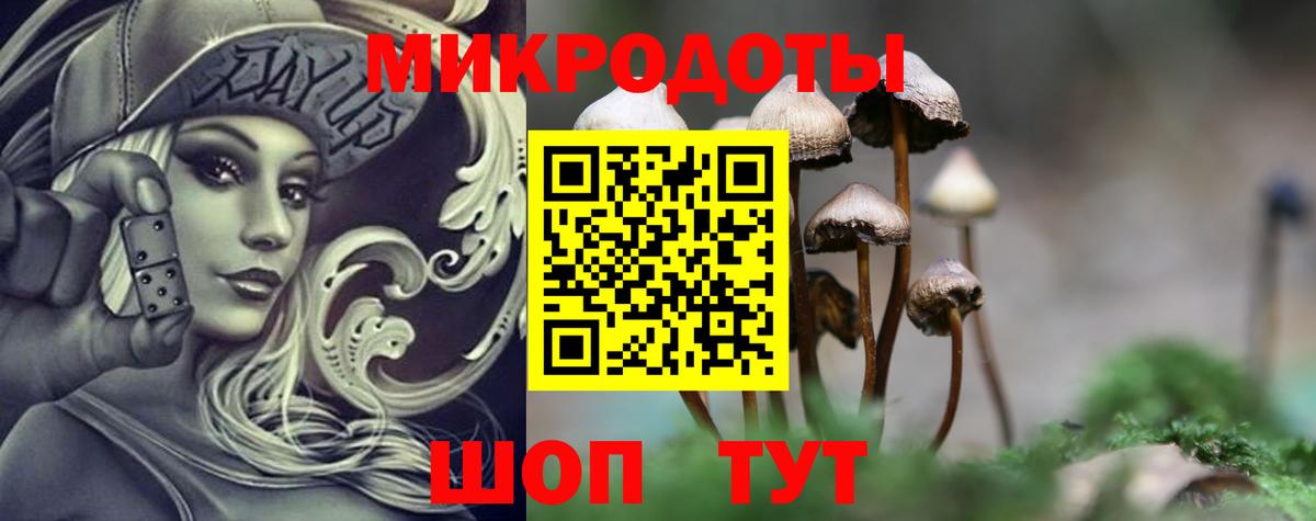 Псилоцибиновые грибы Psilocybe Липецк